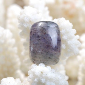 Cordiérite Iolite - 17.3 carats - cabochon pierre naturelle - Australie / ES6
