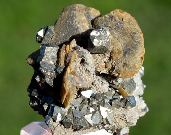 Pyrite & Siderite 55 grams - Tazna Mine, Tasna Rosario, Cerro Tazna, Cotagaita Municipality, Nor Chichas Province, Potosí, Bolivia