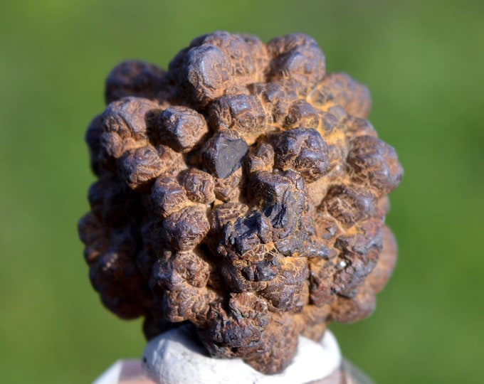 Marcasite and/or Pyrite 52 grams - Cap Blanc-Nez, Escalles, Calais, Pas-de-Calais, Hauts-de-France, France