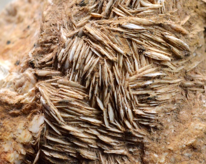 Baryte 340 grams - Saint-Laurent-le-Minier, Gard, Occitanie, France