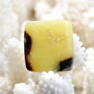 Septaria 44 carats - cabochon pierre naturelle - Madagascar // DK78