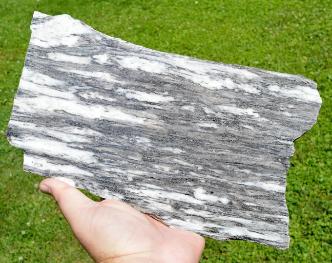 Gneiss 1480 grams - Crodo gneiss quarries, Crodo, Verbano-Cusio-Ossola Province, Piedmont, Italy