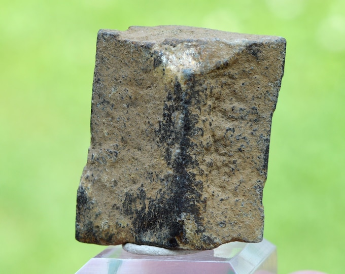 Staurolite 32 grams - Coray, Châteaulin, Finistère, Brittany, France