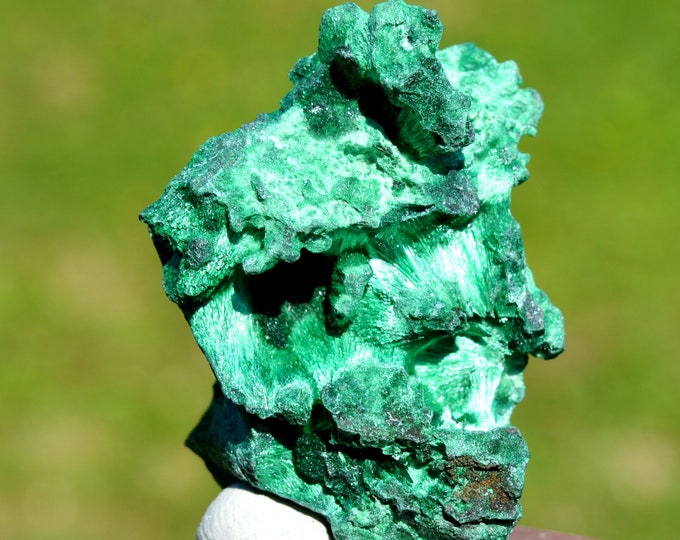 Malachite 48 grams - L'Etoile du Congo Mine, Lubumbashi, Haut-Katanga, DR Congo