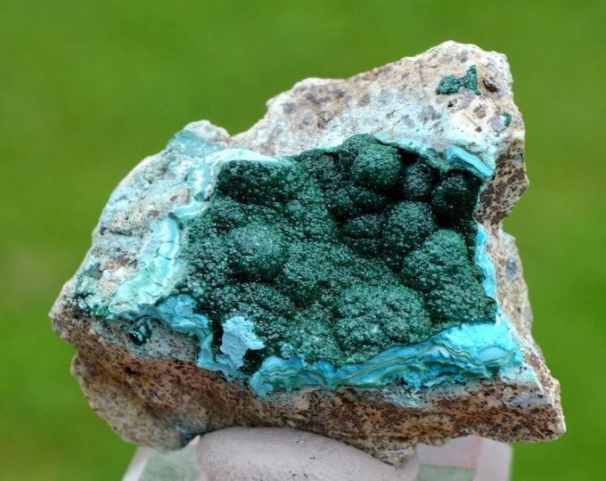 Malachite Chrysocolla 50 grams - Mashamba West Mine, Kolwezi mining district, Lualaba, DR Congo