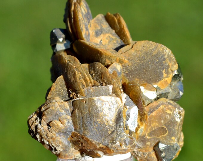 Pyrite & Siderite 60 grams - Tazna Mine, Tasna Rosario, Cerro Tazna, Cotagaita Municipality, Nor Chichas Province, Potosí, Bolivia
