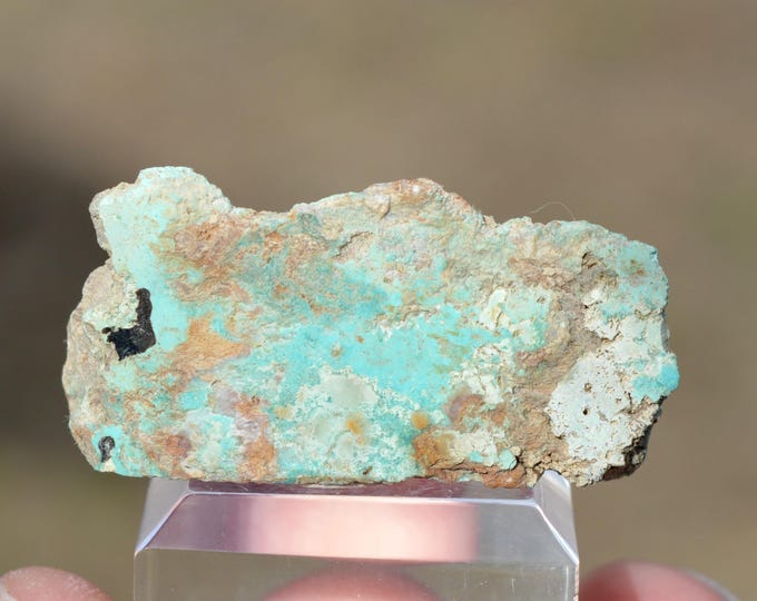 Variscite 10 grams - Palazuelo de las Cuevas, San Vicente de la Cabeza, Zamora, Castile and Leon, Spain