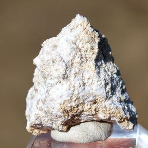 May include: A rough, triangular mineral specimen with a textured, porous surface. The stone features a mix of off-white, cream, and light beige tones, displaying a jagged, uneven crystalline structure that tapers to a point at the top.
