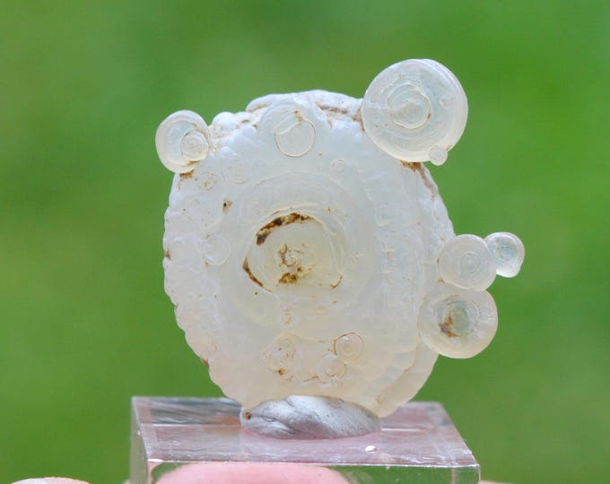 Guttular Chalcedony 4.3 grams - Aulon, Saint-Gaudens, Haute-Garonne, Occitanie, France