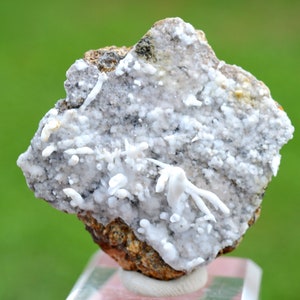 Aragonite &quot;Flos Ferri&quot; 48 grams - Green Fir Mine, Altenberg, Ste Marie-aux-Mines, Colmar-Ribeauvillé, Haut-Rhin, Alsace, France