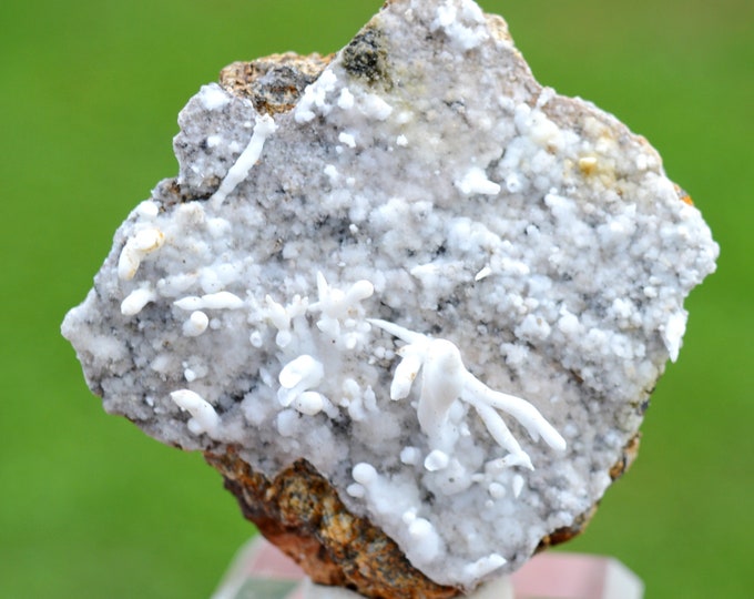 Aragonite "Flos Ferri" 48 grams - Green Fir Mine, Altenberg, Ste Marie-aux-Mines, Colmar-Ribeauvillé, Haut-Rhin, Alsace, France