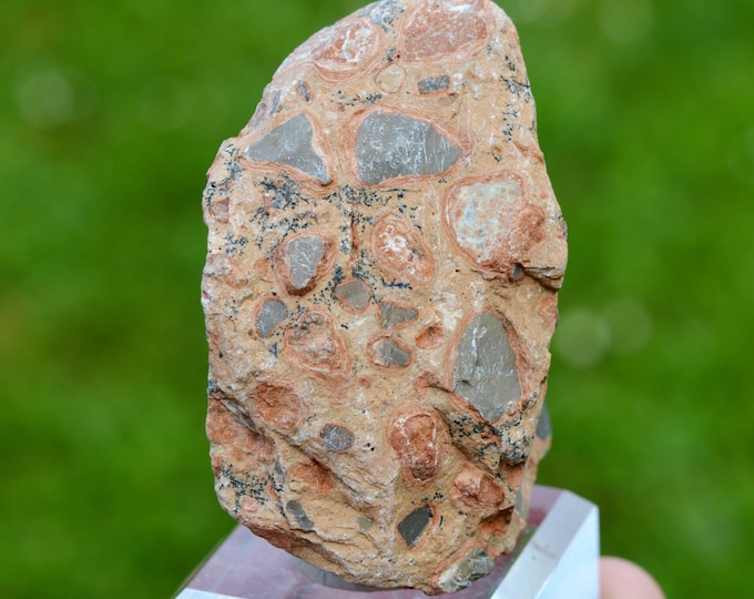 Leopardite 119 grams - Mexico