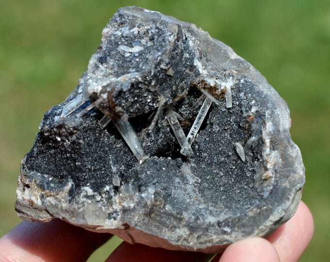 Septaria & Celestine 259 grams - Condorcet, Nyons, Drôme, Auvergne-Rhône-Alpes, France