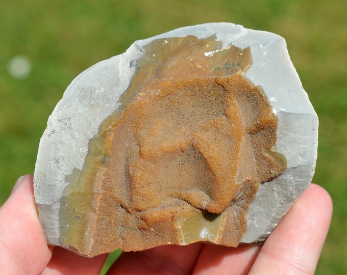 Calcite in Septaria 226 grams - Clay pit, Terhagen, Rumst, Antwerp, Flanders, Belgium