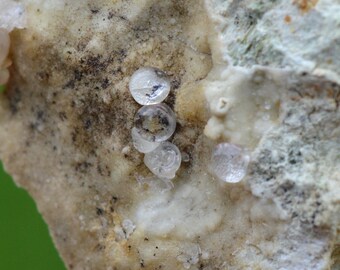 Melanoflogite 24 grammi - Fortullino, Rosignano Marittimo, Provincia di Livorno, Toscana, Italia