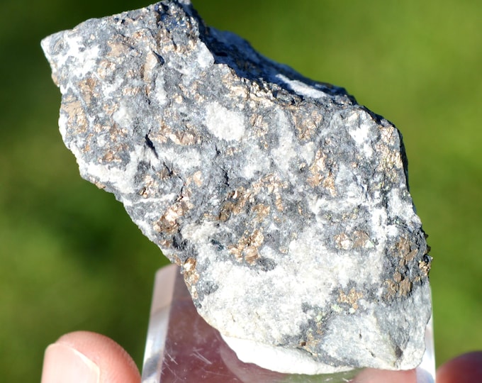 Nickeline 142 grams - Mefis Mine, Taouz Caïdat, Er-Rissani Circle, Errachidia Province, Drâa-Tafilalet Region, Morocco