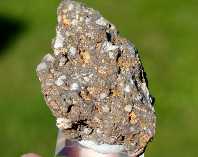 Dolerite 52 grams - Boulouris area, Saint-Raphaël, Draguignan, Var, Provence-Alpes-Côte d'Azur, France