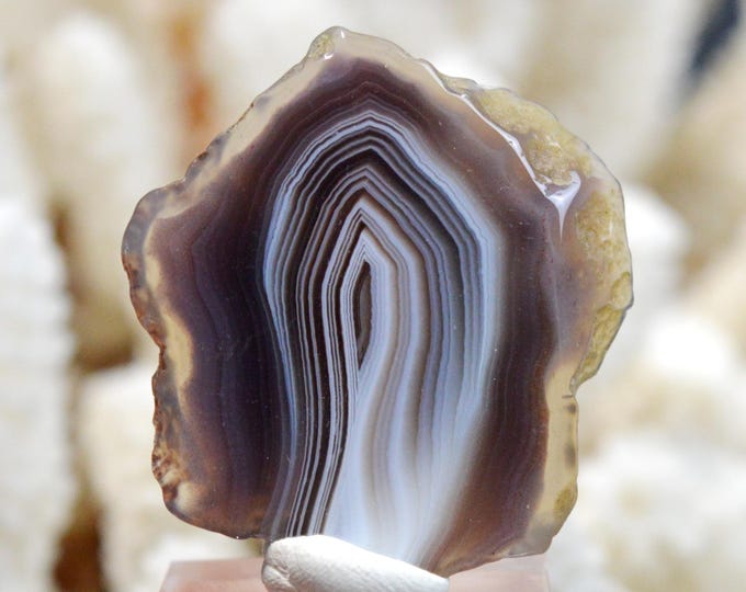 Agate 16 grams - Bobonong Subdistrict, Central District, Botswana - FT16