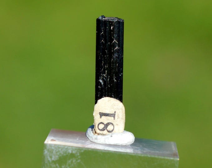 Tourmaline 0.65 grams - Urubu mine, Monte Belo, Itinga, Minas Gerais, Brazil
