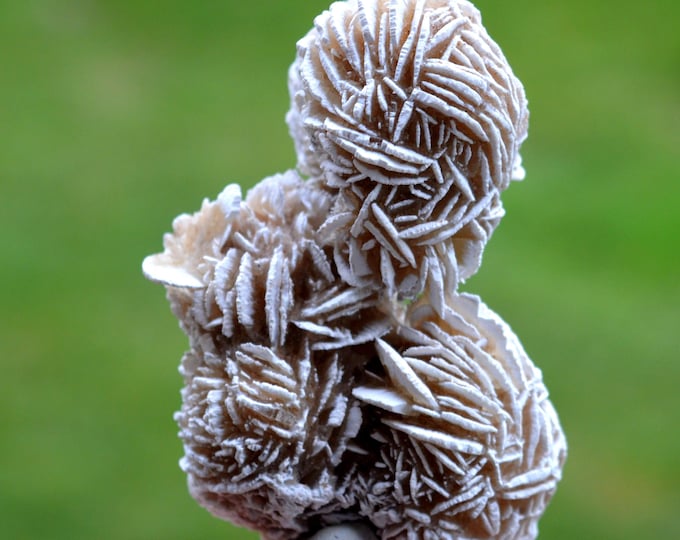 Gypsum var. Rose des sables 104 grams - Samalayuca Desert, Ahumada Municipality, Chihuahua, Mexico