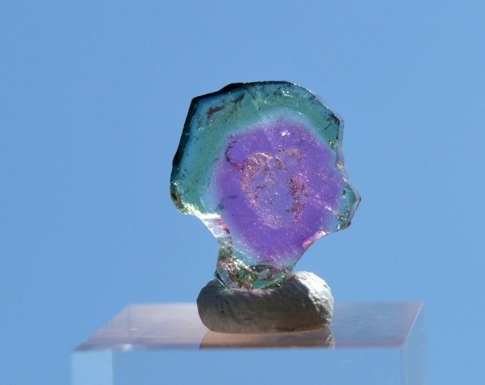 Tourmaline "Watermelon" 5 carats - Polished slice natural stone - Pederneira mine, São José da Safira, Minas Gerais, Brazil