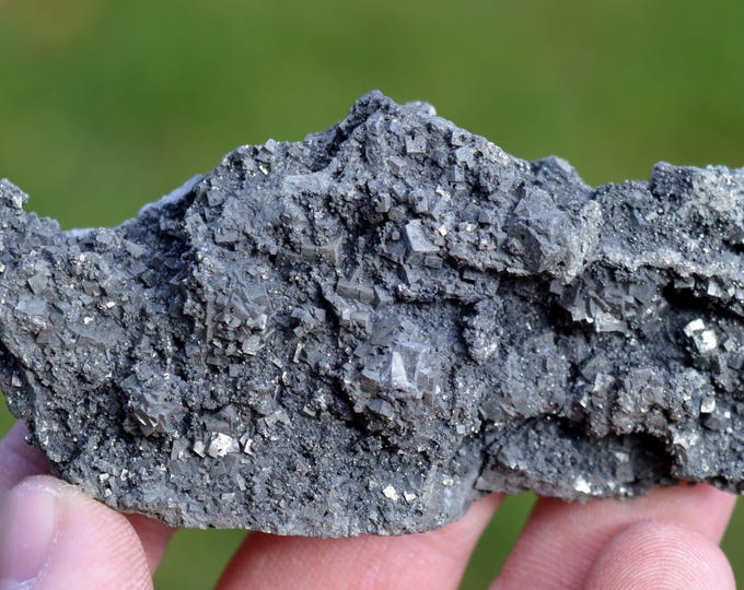Pyrite & Marcasite 114 grams - Saint-Aubin-des-Châteaux, Châteaubriant-Ancenis, Loire-Atlantique, Pays de la Loire, France