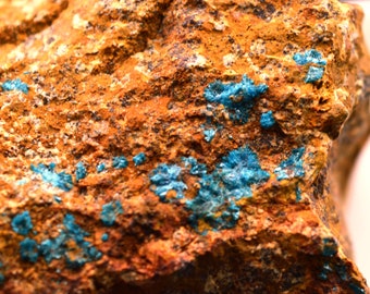 Rare Sampleite sur Limonite - 57 grammes - La Farola Mine, Atacama, Chili