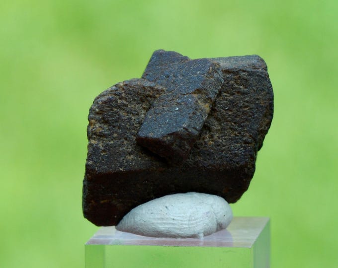 Staurolite 12 grams - Coray, Châteaulin, Finistère, Brittany, France