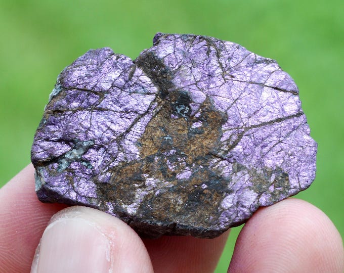 Purpurite 16 grams - Cameroon pegmatite, Goabeb Farm 63, Karibib, Erongo Region, Namibia
