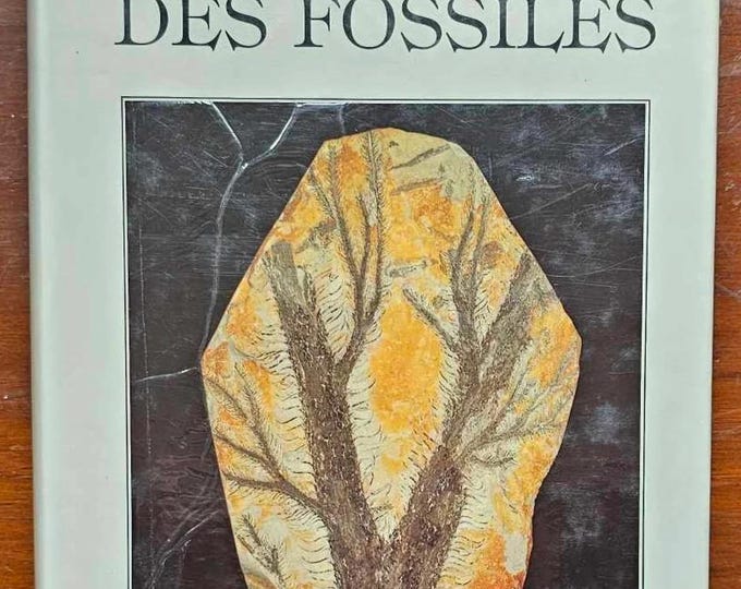 The Great Encyclopedia of Fossils - Gründ 1990 Third Edition - Used