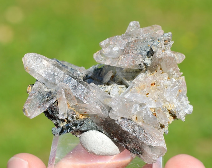 Quartz & Chlorite 52 grams - Bierghes, Rebecq, Walloon Brabant, Wallonia, Belgium