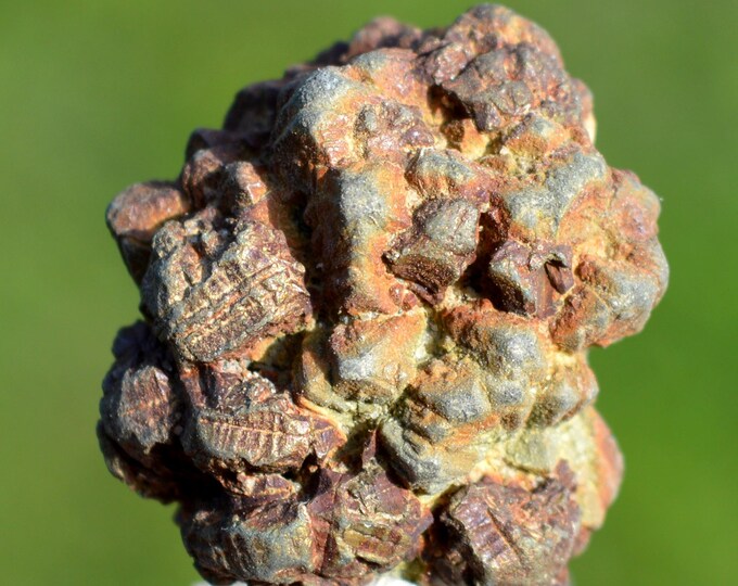 Marcasite and/or Pyrite 32 grams - Cap Blanc-Nez, Escalles, Calais, Pas-de-Calais, Hauts-de-France, France