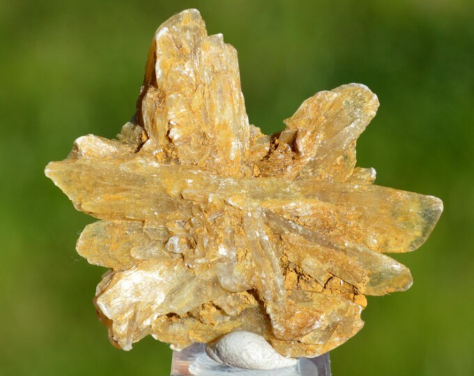 Gypsum 15 grams - Angervilliers quarry, Forges-les-Bains, Palaiseau, Essonne, Ile-de-France, France