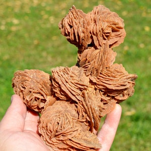 Gypsum var. Sand rose - 830 grams - Grand Erg Oriental Desert, Douz, Kebili, Tunisia