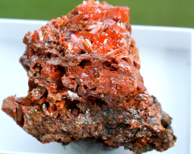 Crocoite 60 grams - Dundas mineral field, Zeehan District, West Coast municipality, Tasmania, Australia