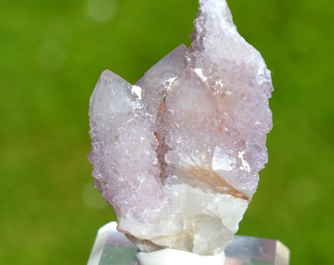 Cactus Amethyst 42 grams - Boekenhoutshoek area, Mkobola, Nkangala District, Mpumalanga, South Africa
