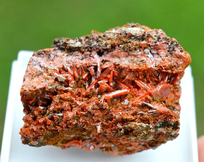 Crocoite 65 grams - Dundas mineral field, Zeehan District, West Coast municipality, Tasmania, Australia
