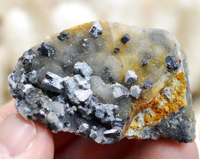 Galena & Chalcedony 43 grams - Le Buisson Mine, Montmirat, Saint-Étienne-du-Valdonnez, Mende, Lozère, Occitanie, France