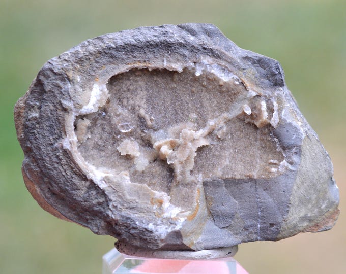 Septaria & Quartz 126 grams - Col de Peyruergue, Saint-Sauveur-Gouvernet, Nyons, Drôme, Auvergne-Rhône-Alpes, France