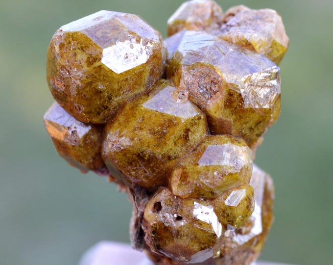 Garnet var. Grossular & Clinochlore 47 grams - Trantimou, Diakon, Arrondissement of Diakon, Bafoulabé Cercle, Kayes Region, Mali