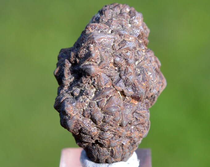 Marcasite and/or Pyrite 32 grams - Cap Blanc-Nez, Escalles, Calais, Pas-de-Calais, Hauts-de-France, France