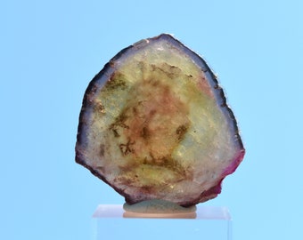 Tourmaline "Watermelon" 33.7 carats - Polished slice natural stone - Pederneira mine, São José da Safira, Minas Gerais, Brazil