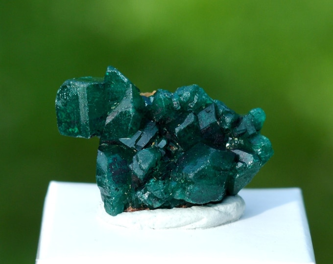 Dioptase 3.3 grams - Tantara Mine, Shinkolobwe, Kambove Territory, Haut-Katanga, DR Congo