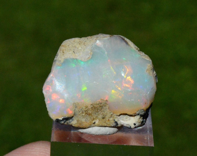 Raw opal - 23.6 carats - South Wollo Zone, Amhara Region, Ethiopia