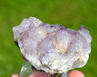 Cactus Amethyst 132 grams - Boekenhoutshoek area, Mkobola, Nkangala District, Mpumalanga, South Africa