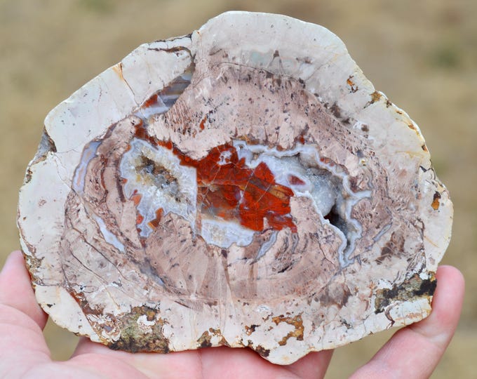 Chalcedony var. agate & Quartz "Lithophyse" 454 grams - Esterel Massif, Var, France