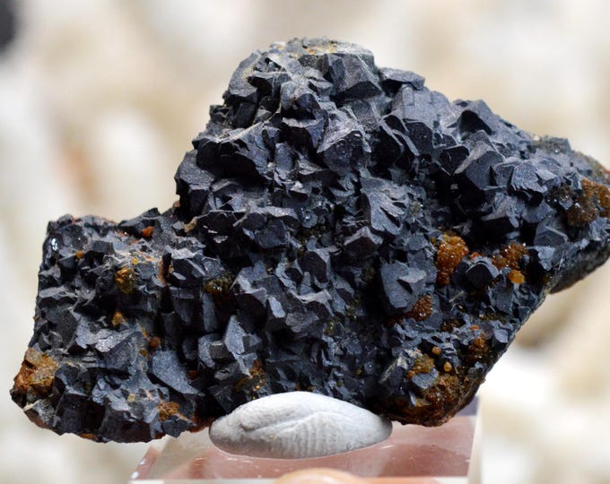 Galena 52 grams - Le Buisson Mine, Montmirat, Saint-Étienne-du-Valdonnez, Mende, Lozère, Occitanie, France