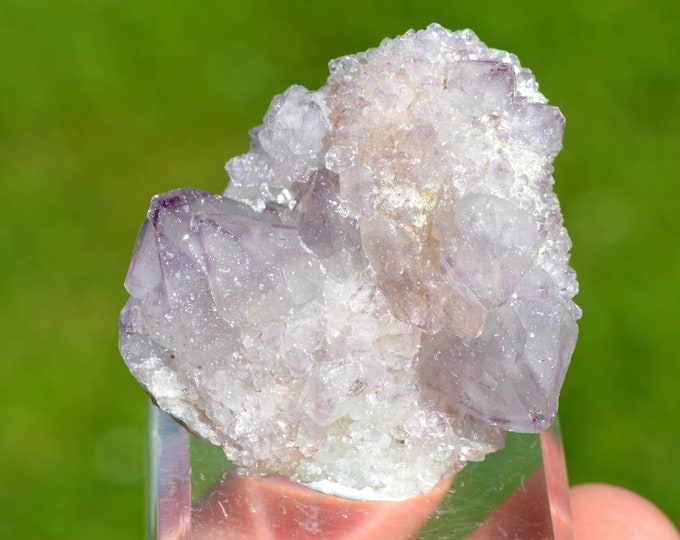 Amethyst cactus 40 grams - Boekenhoutshoek area, Mkobola, Nkangala District, Mpumalanga, South Africa