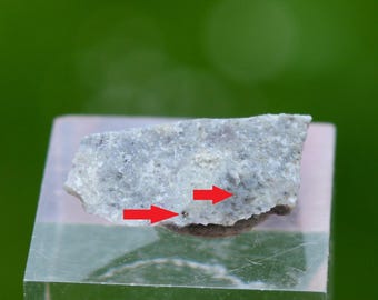 Krennerite 0,9 grammi - Miniera di Furtei, Furtei, Provincia della Sardegna meridionale, Sardegna, Italia
