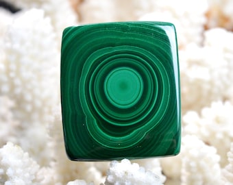 Malachite 123 carats - cabochon pierre naturelle - Congo // EE29